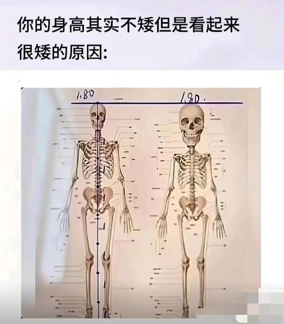 其实视觉身高极其重要，有些人只有165看着却有175，就是因为瘦+脸小+头小，拥