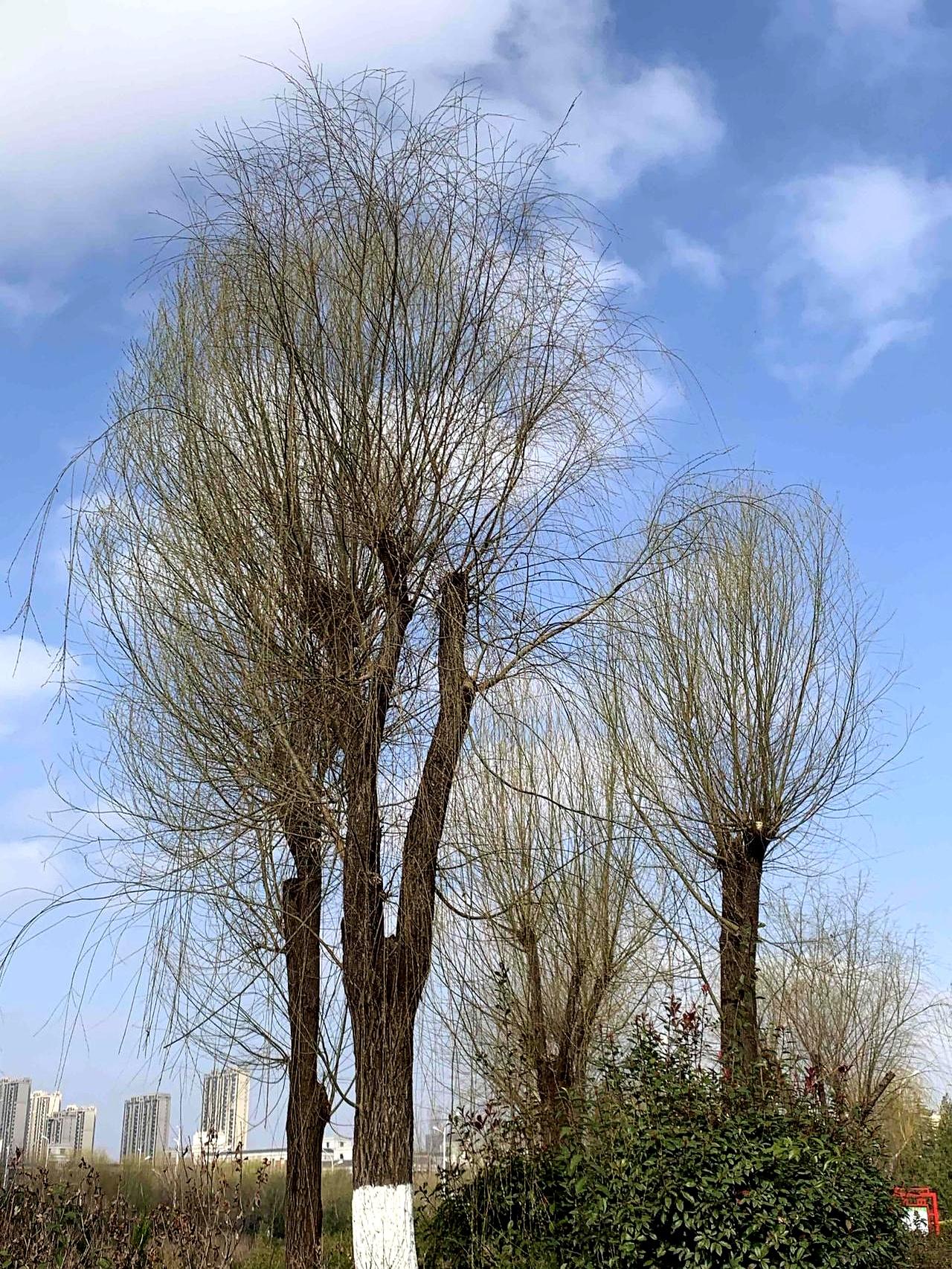 退休后的生活，有时候真挺让人感慨的。人一退下来，好像突然就“静音”了，微信没人