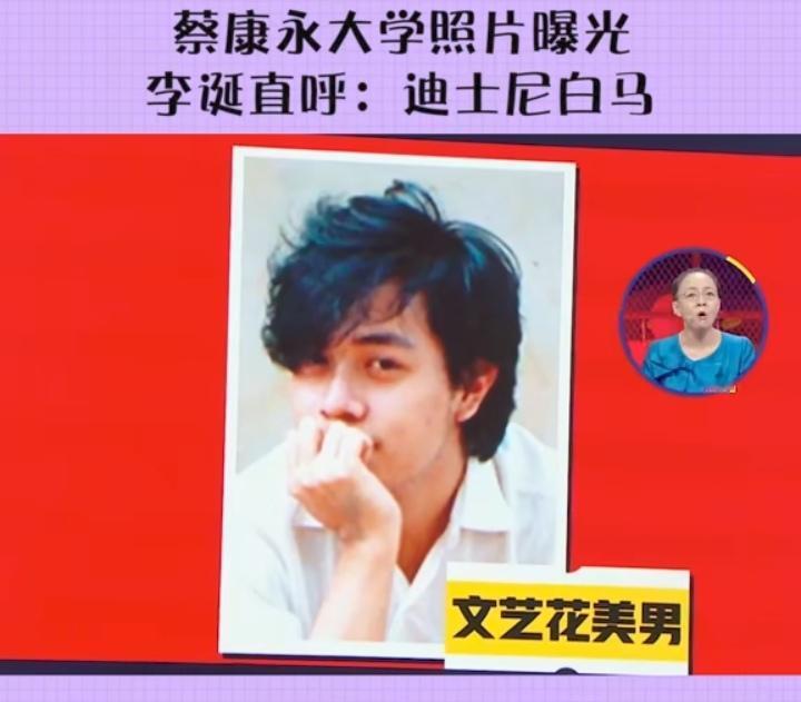 宋丹丹曾在节目里说蔡康永大学时候的照片非常帅，长得很像张国荣！而蔡康永当时说，“