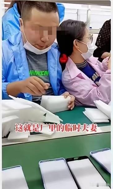论现在的电子厂有多乱，如果你是女的，那你一进厂，肯定会有好多人跟你要微信电话。跟