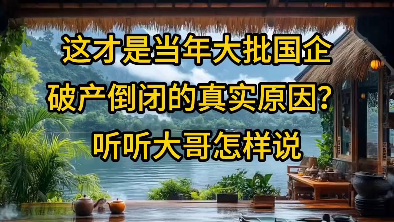 揭秘当年国企破产真相：真实原因大公开？大哥深度解析