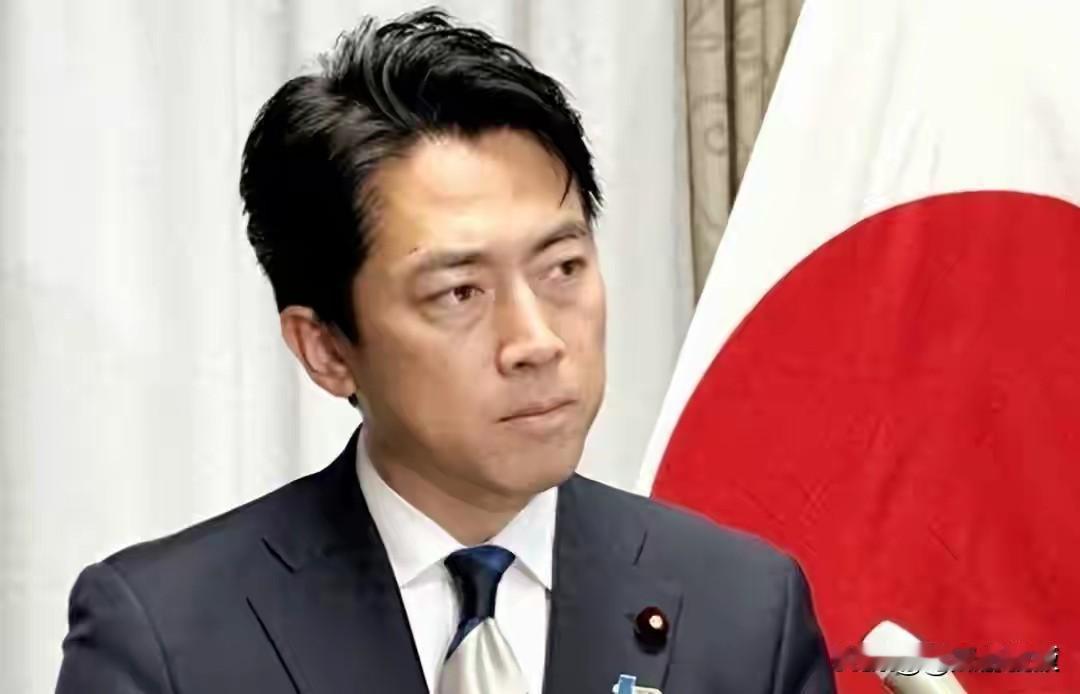 日本政府向全世界宣布，它们就是没有认清形势，没有找准定位！日本防卫大臣认为，