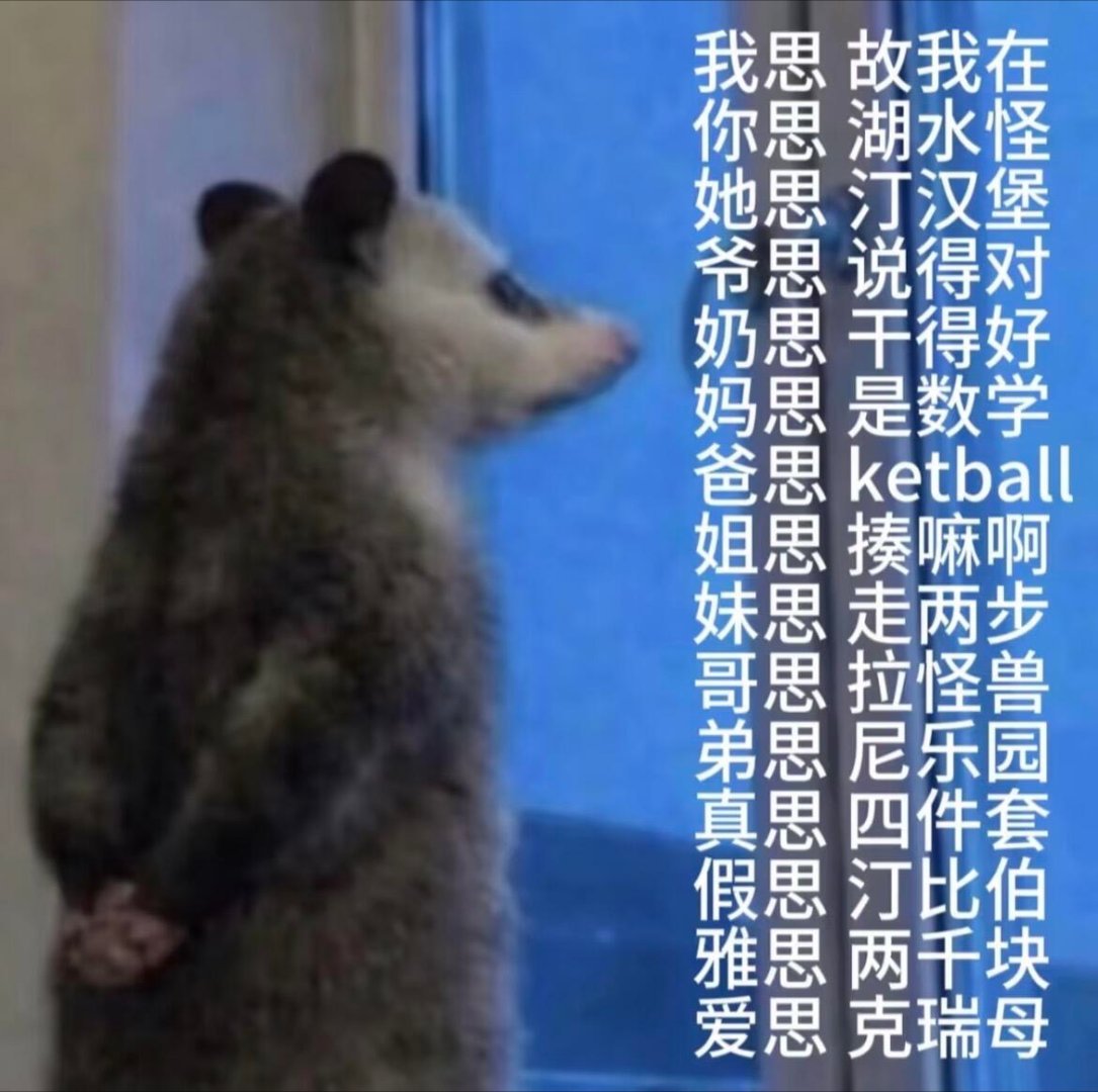 负鼠表情包分享