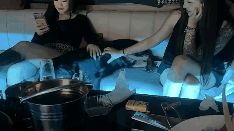 它累了，就让他休息休息吧