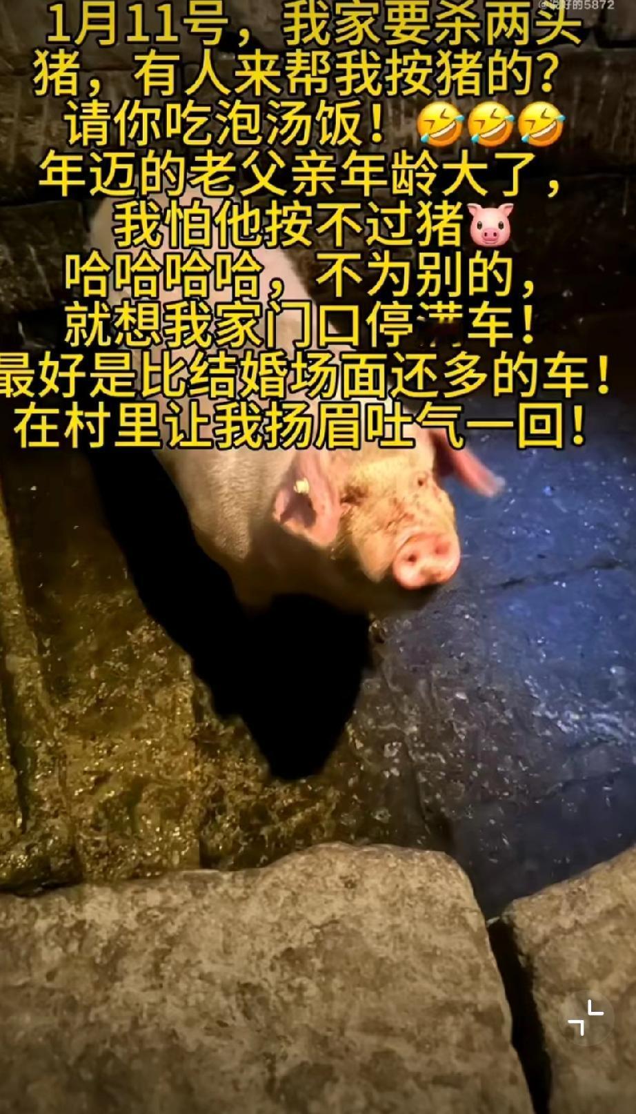 女子以一己之力带火重庆合川！这就是网络时代，一个声音很快会被全社会听到。3天