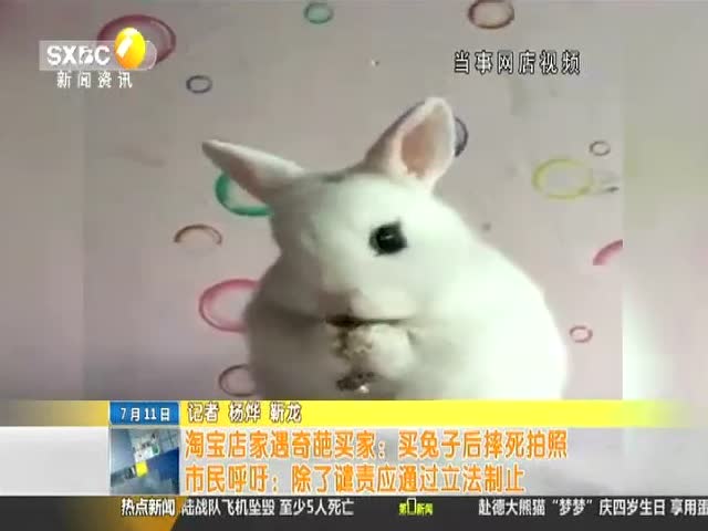 9222698150867021661.jpg?id=0