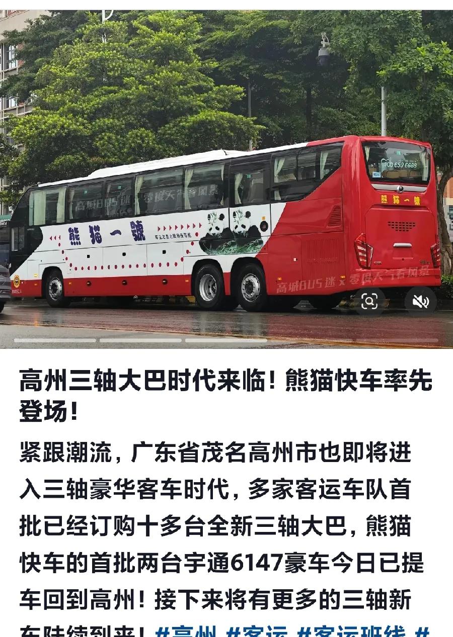 都步入高铁时代了，高州的客运车企却全然没把广湛高铁、深湛动车当回事。而是引进了