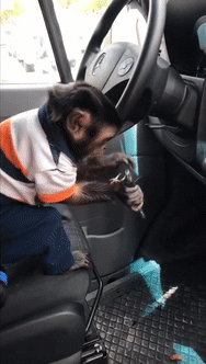 别学了再学就该能挣钱了