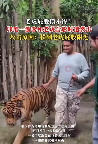“胆子太大了！”近日，泰国，一印度游客和老虎合影遭到袭击，原因竟然是他在摸老虎的