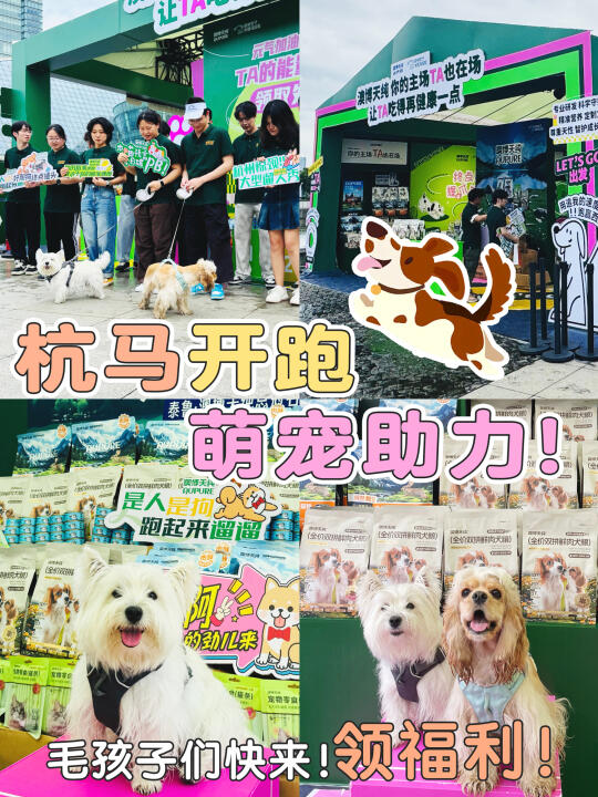 杭马开跑|可爱萌宠助力加油~