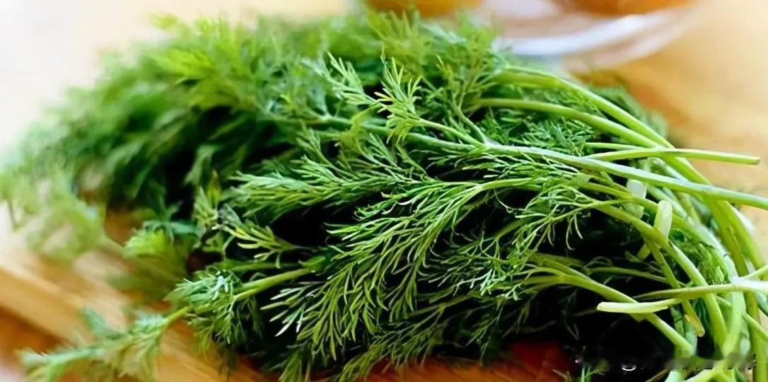 冬天“最厉害”的绿叶菜，驱寒降脂、还是胃病克星！一定多吃点！茴香冬天的菜市