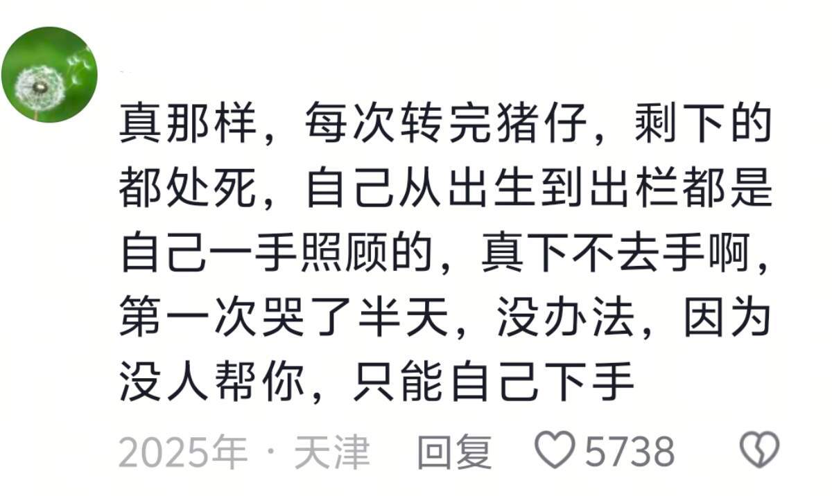 共情力强的人不适合做养殖业​​​