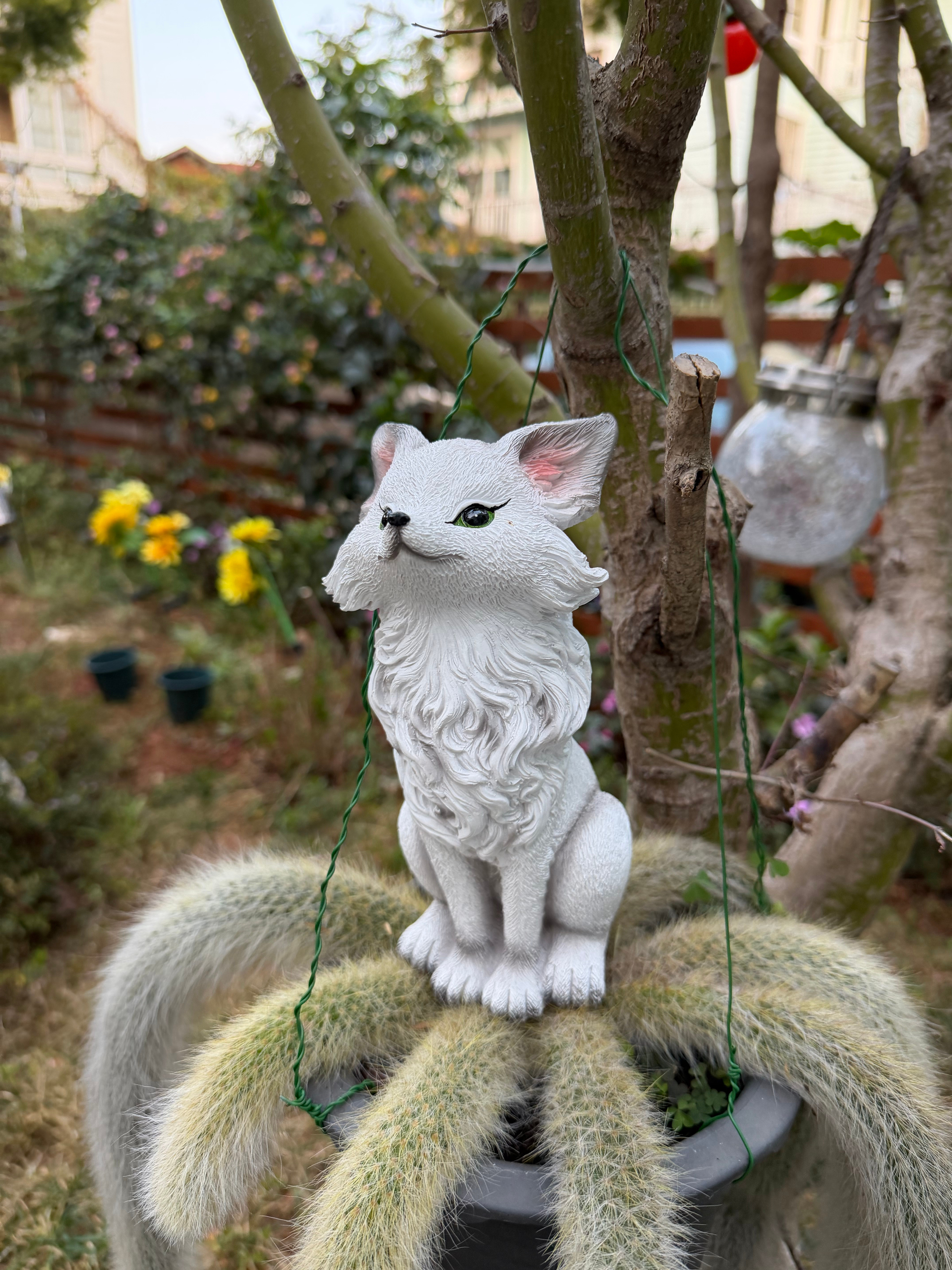 吓出表情包昆明·海埂大坝