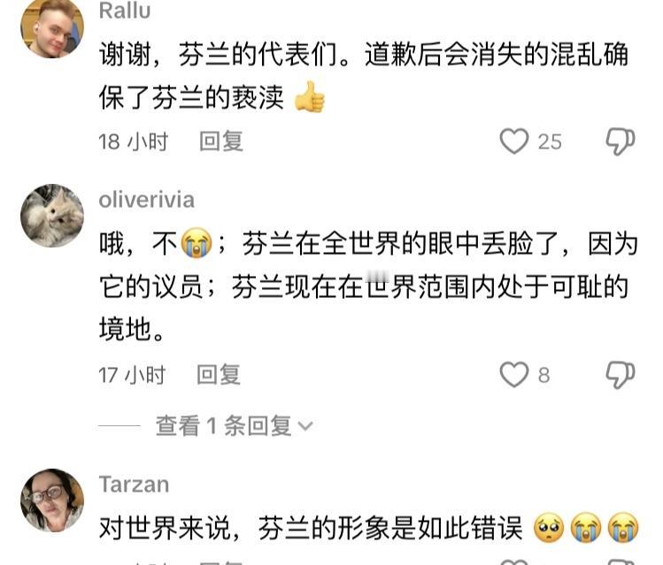 芬兰网友对政府议员的种族歧视表示愤怒，他们代表的是所有芬兰人，现在全世界都认为芬