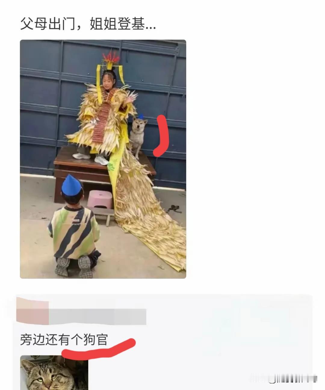 狗子:这把轮到我抖威风了[狗头]
