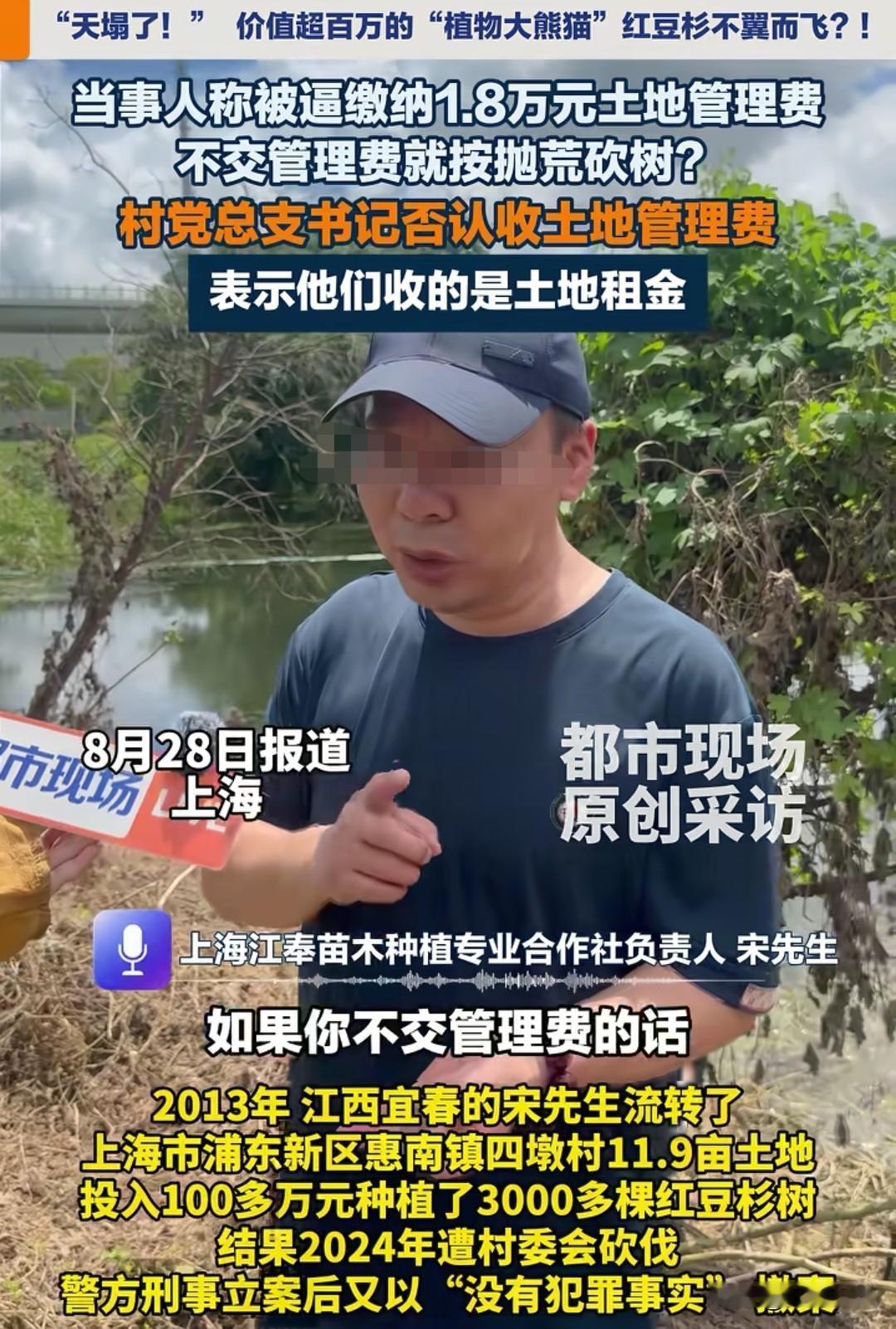 江西宜春，男子承包了11.9亩土地，投入了100多万，种植了3000多棵红豆杉，