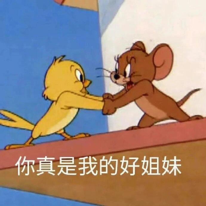丰富一下你的表情包