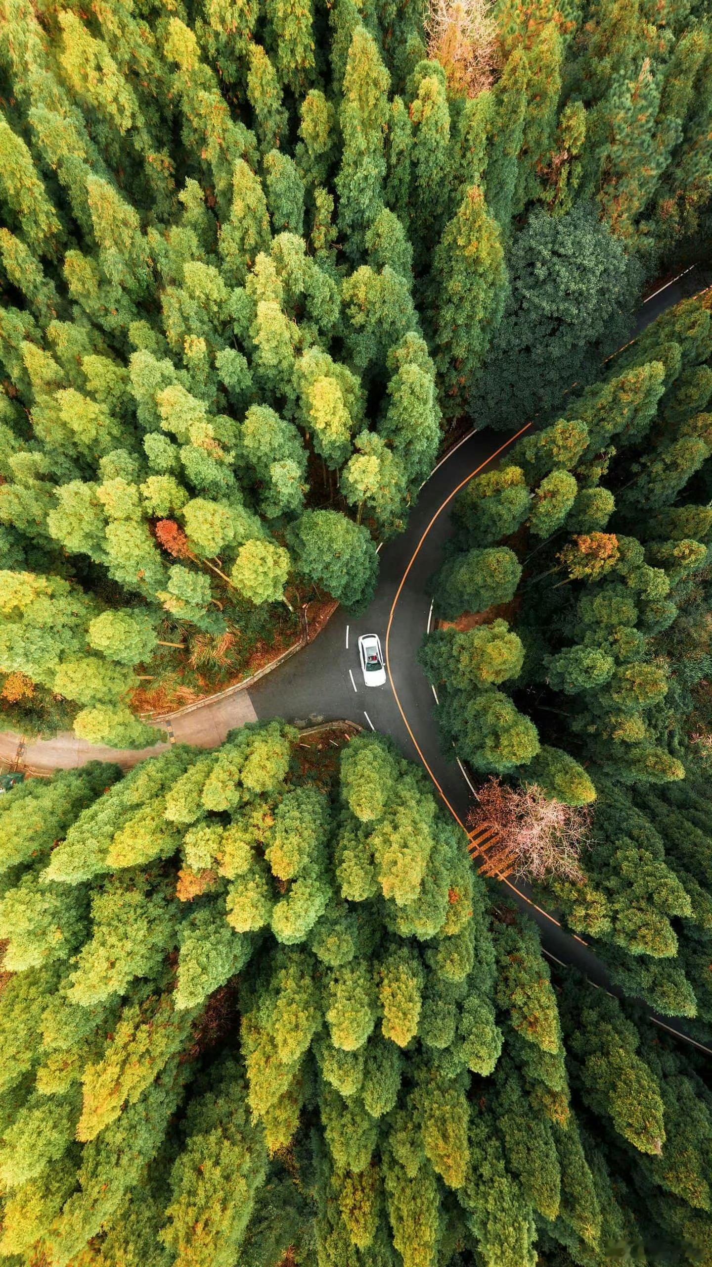 早安早安心语早安,新的一天早安心语超话治愈不开心人生感悟人生微语每天说早