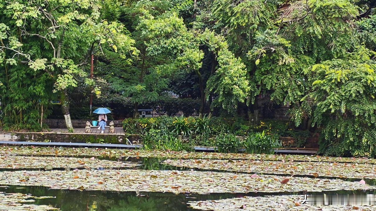 南京这场雨盼了好久，本以为能凉快点，看来是我天真了。8月10-12日三轮雨水