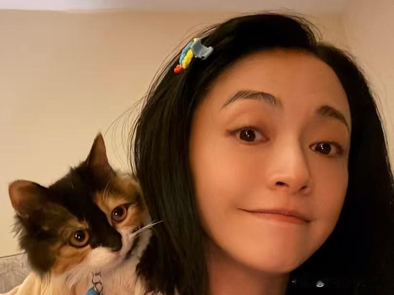 我发现姚晨身上的一个玄学，她找的男人，都有一个特点，那就是都出身在艺术世家。