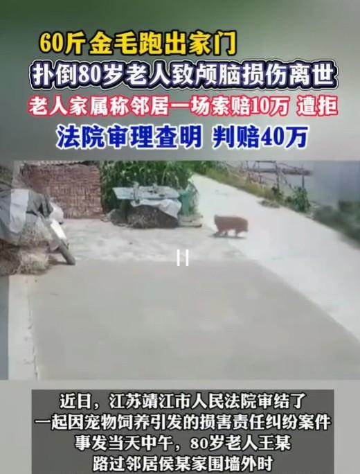 江苏靖江，80岁老人经过邻居家，突然邻居家那60多斤的金毛狗，窜了出来，扑倒老人