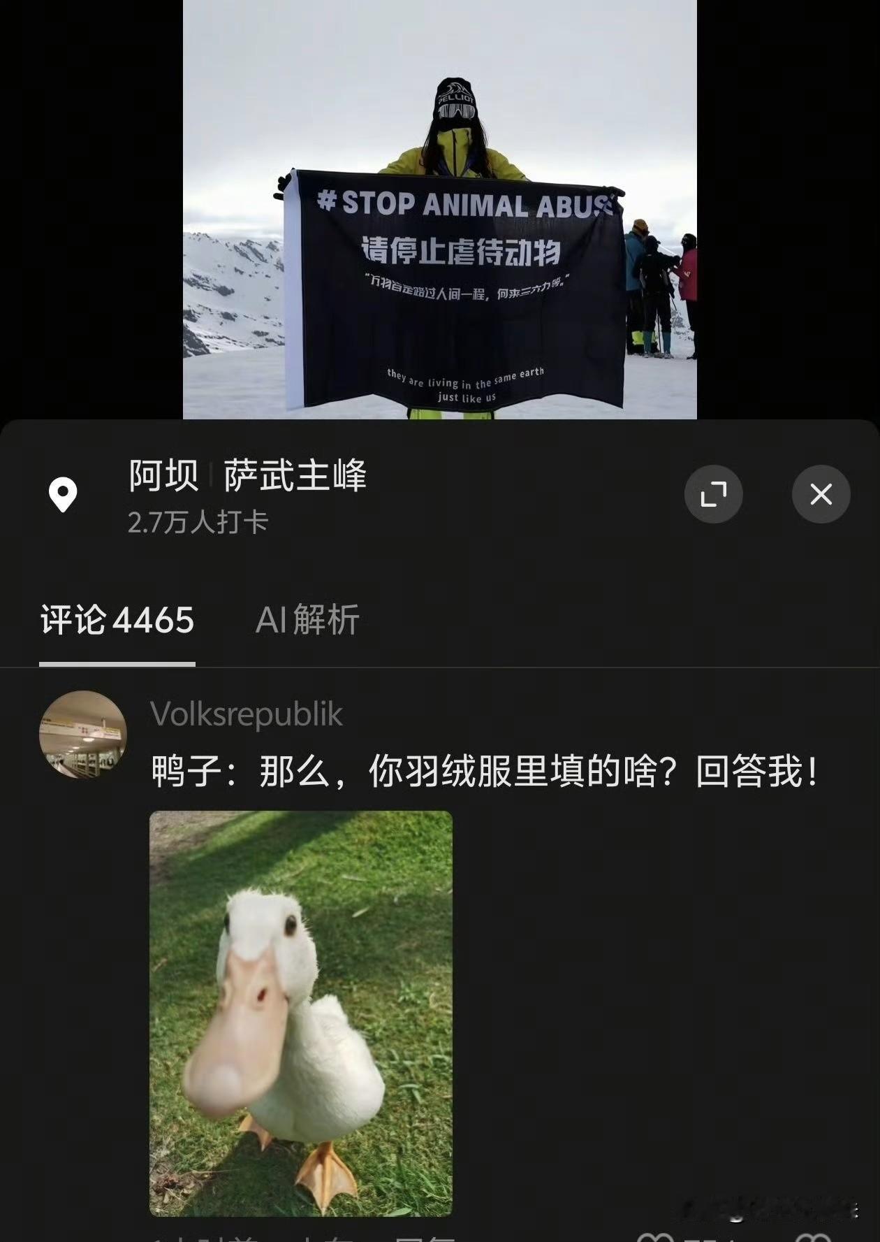 动保人士登上萨武神山，呼吁停止虐待动物