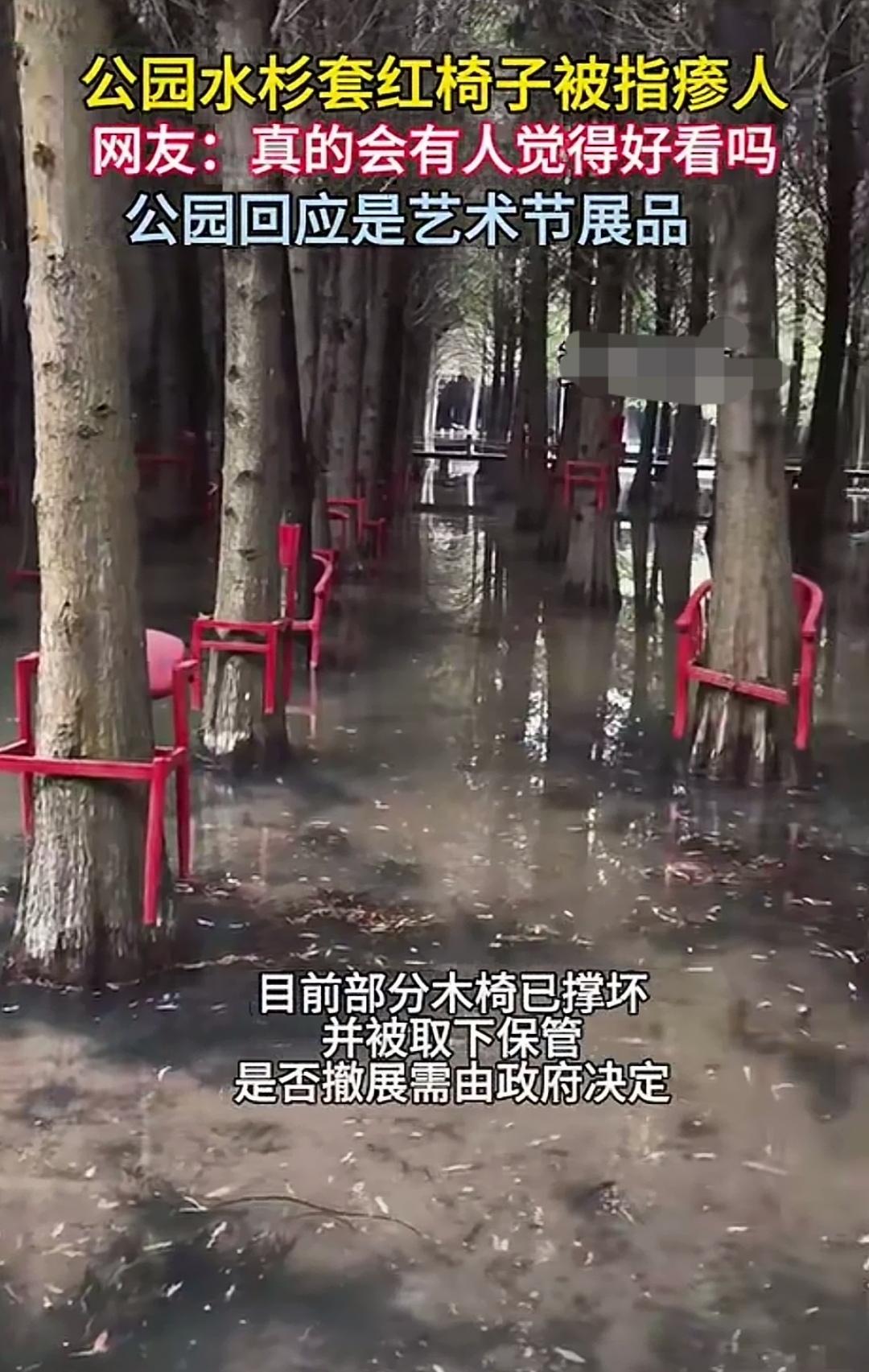 水杉林套上红椅子，咋越看越瘆人？谁能懂啊！昆明水杉林里那些红椅子，真的是越看越