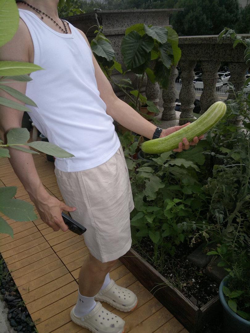 你爱吃黄瓜吗？北京·百子湾