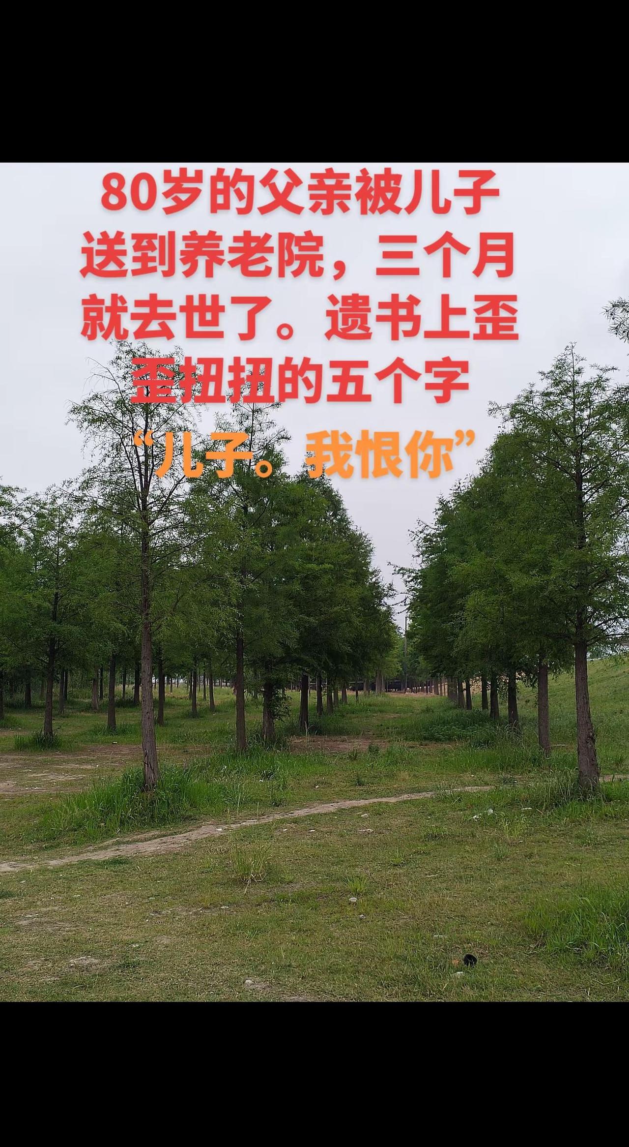 80岁的父亲被儿子送到养老院，三个月就去。80岁的父亲被儿子送到养老院，三个月就