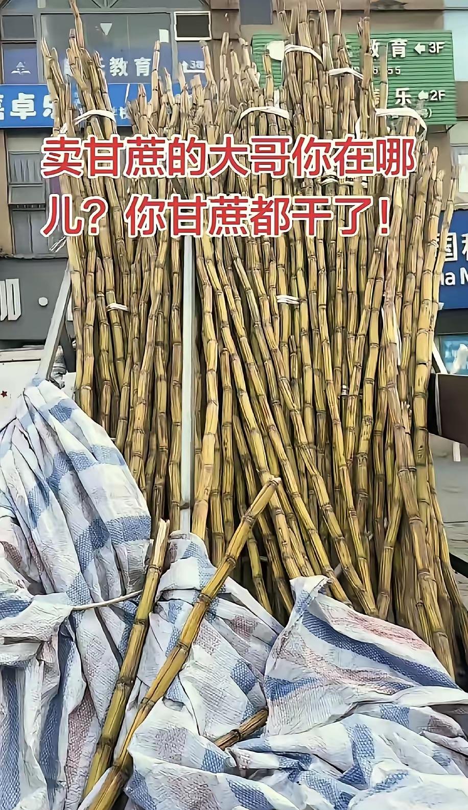  暖心！四川男子发现楼下甘蔗摊枯成“木头”，一个善举引爆全网，结局看哭众人