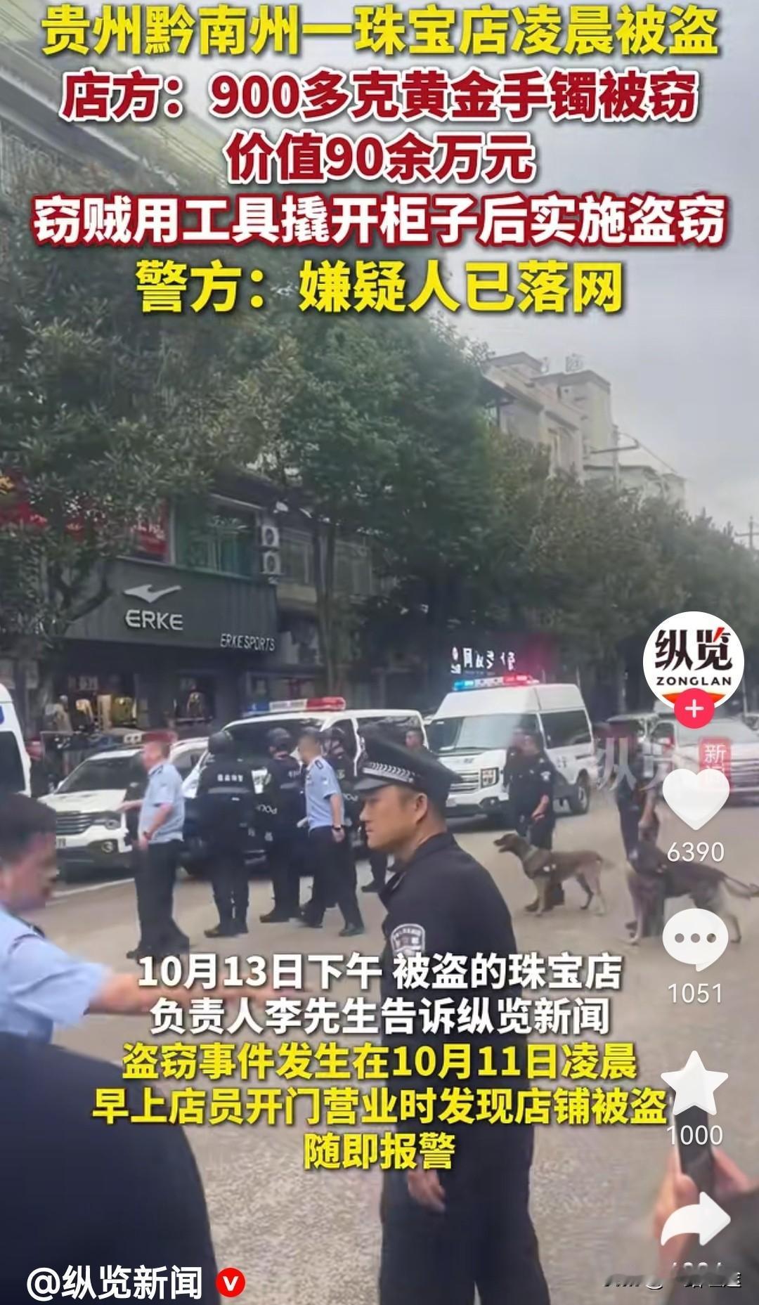 [捂脸哭][捂脸哭][捂脸哭]现在还做小偷，脑袋也是有毛病！到处电子眼！历
