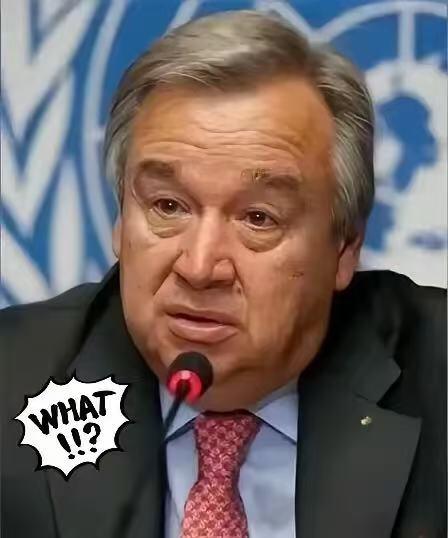 快讯！快讯！联合国刚刚通过决议​​2025年10月29日，联合国大会icon