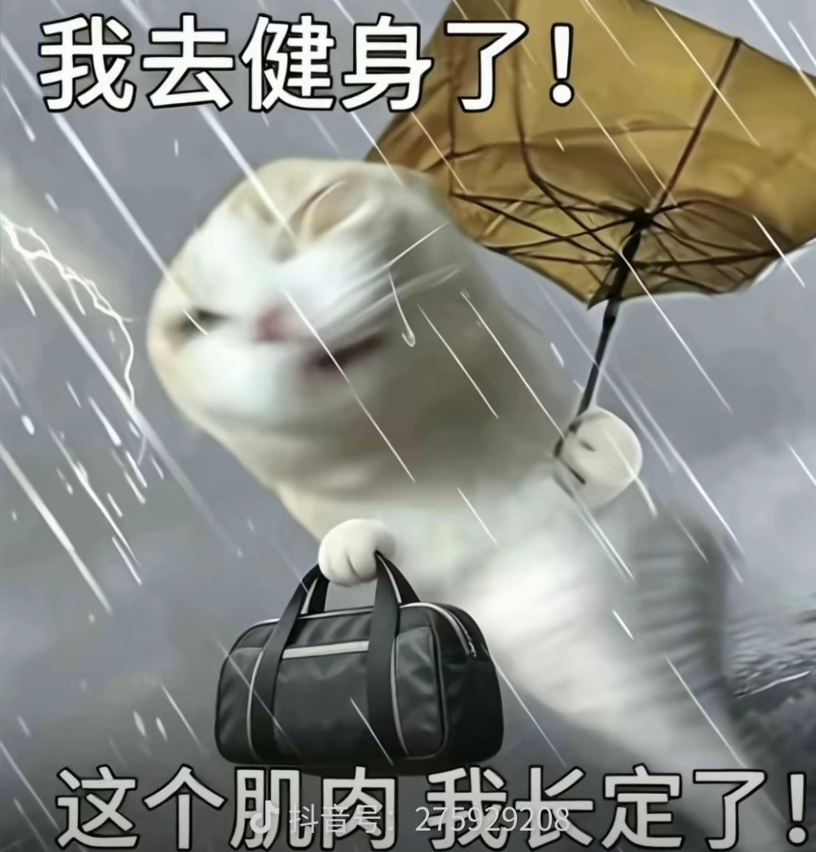 笑死我了这图