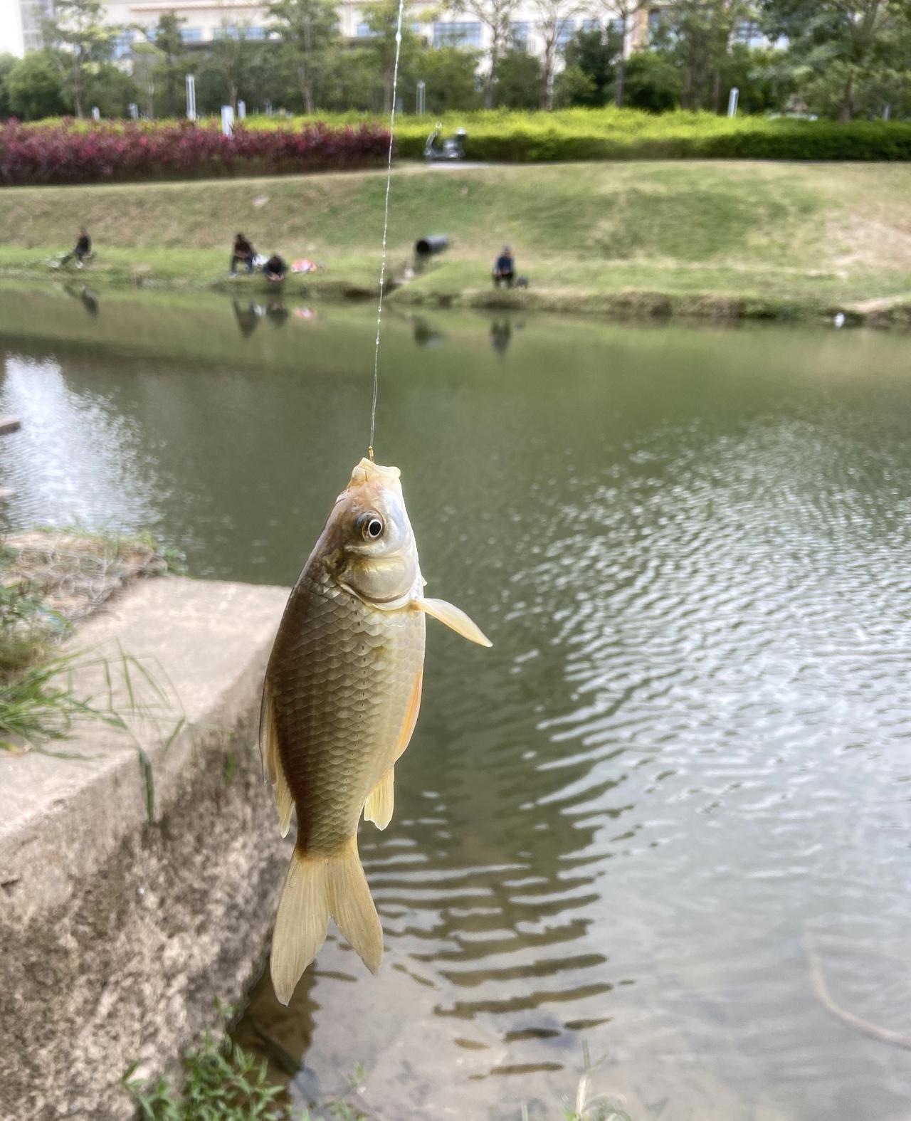 厂里有一个钓鱼发骚友，感觉已到了中毒的地步，每月都要请4-10天去钓鱼，他说一日