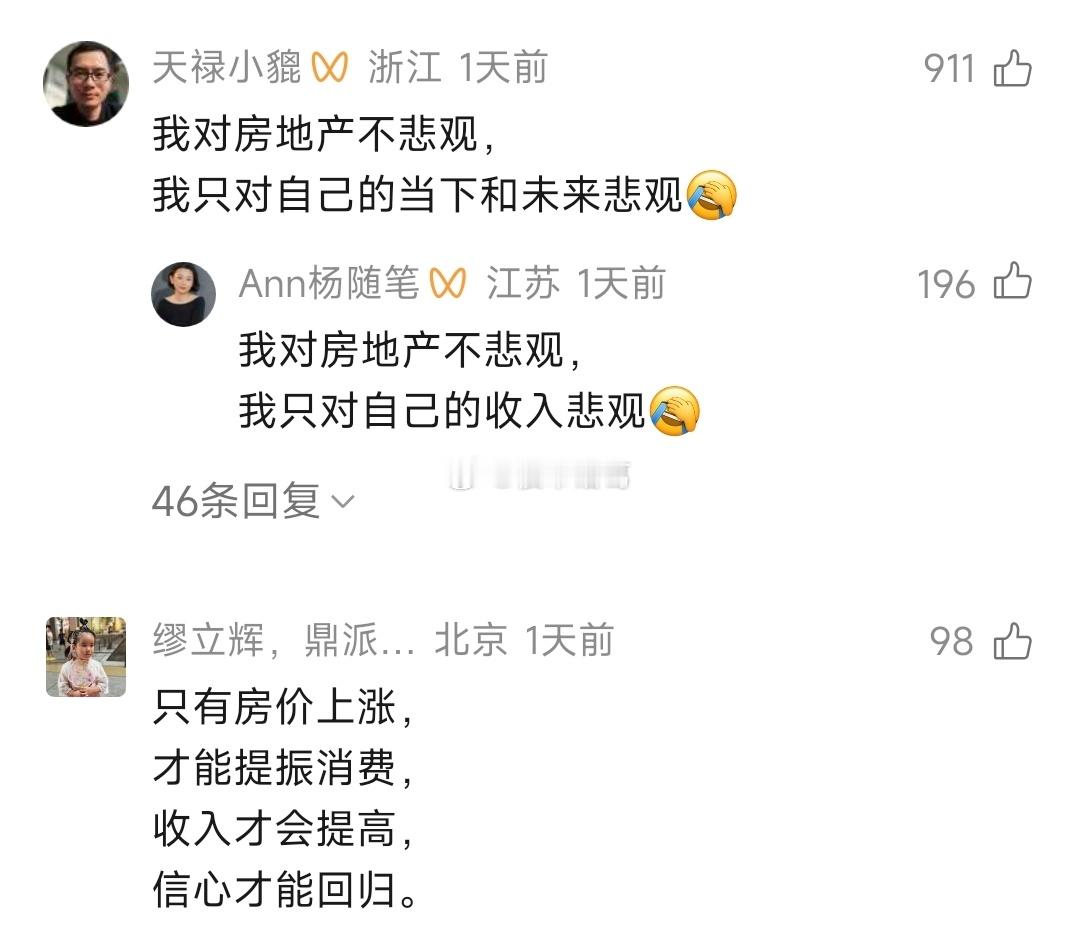 一些网友对中国房地产的态度：