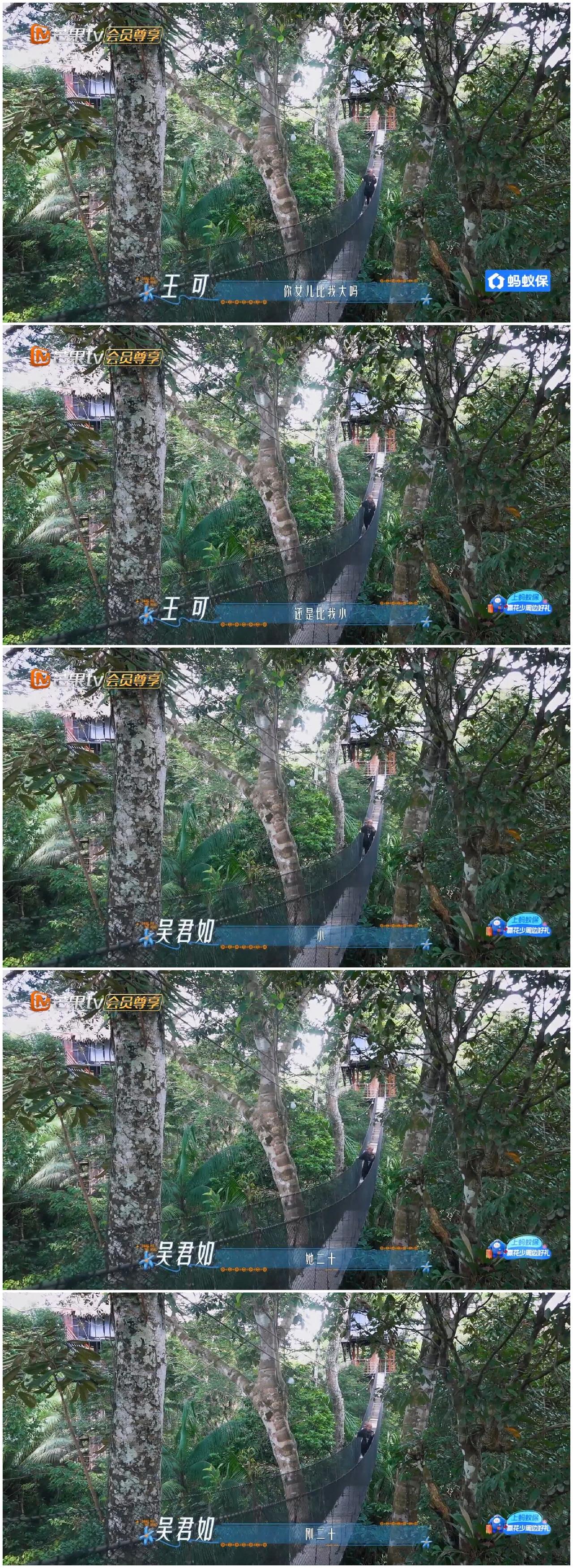 吴君如跟王可聊起女儿，谈及吴君如女儿现状，王可一脸好奇。王可好奇吴君如