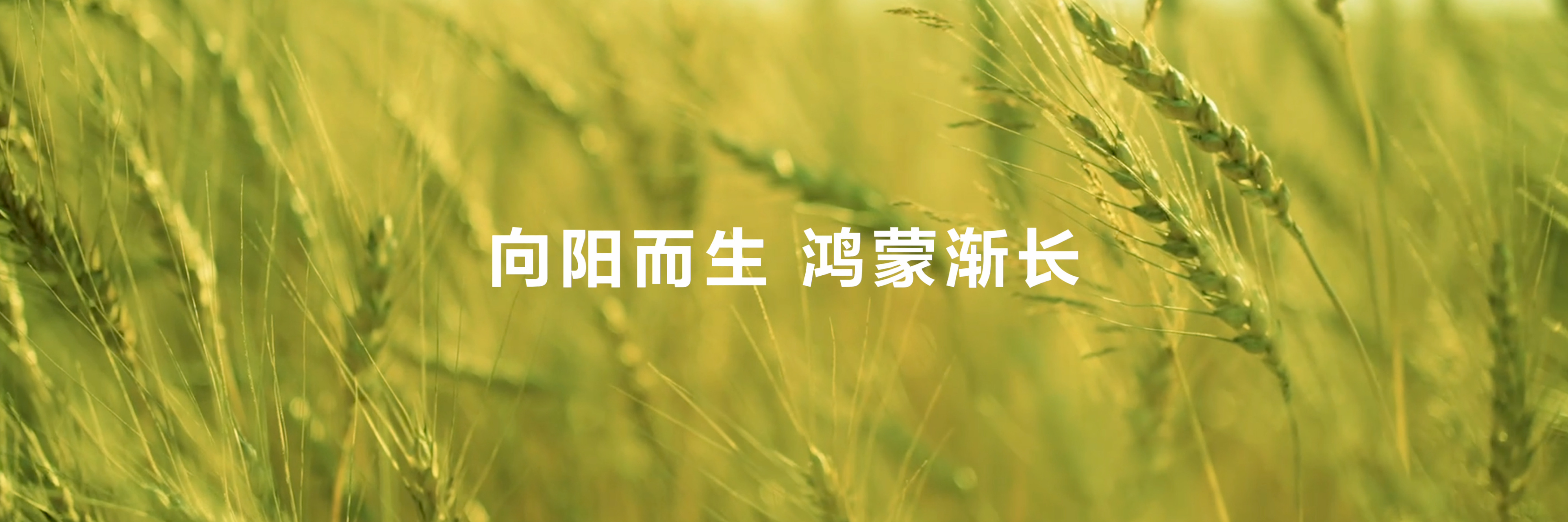 超三万鸿蒙应用加速开发更新在一年前这个时间点，很多人都对鸿蒙5寄予厚望，因为它是