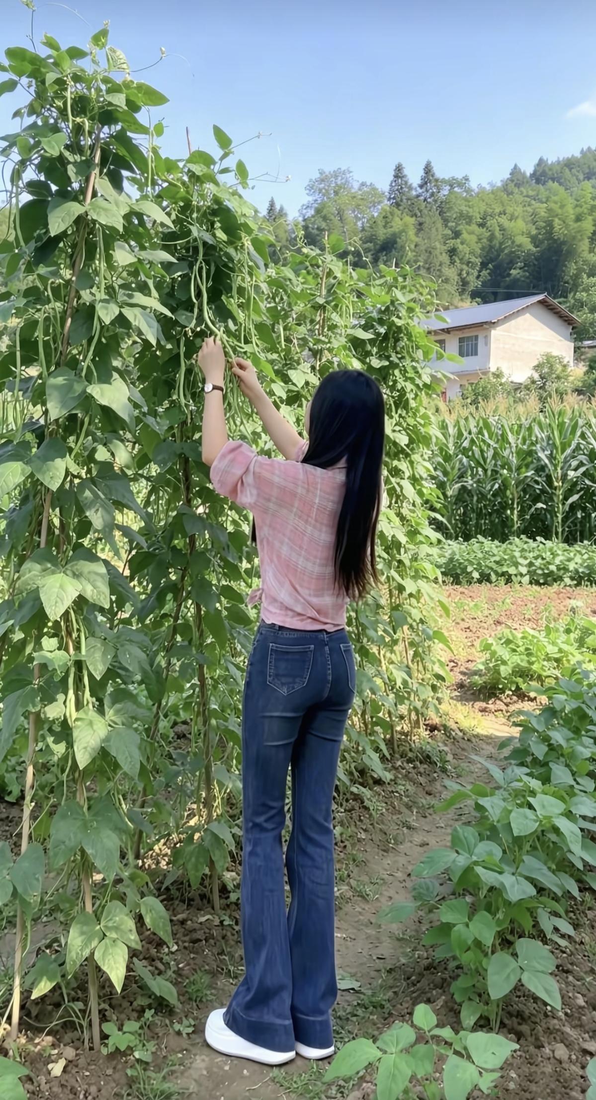 田园生活，亲手采摘绿色蔬菜，感受自然的美好。