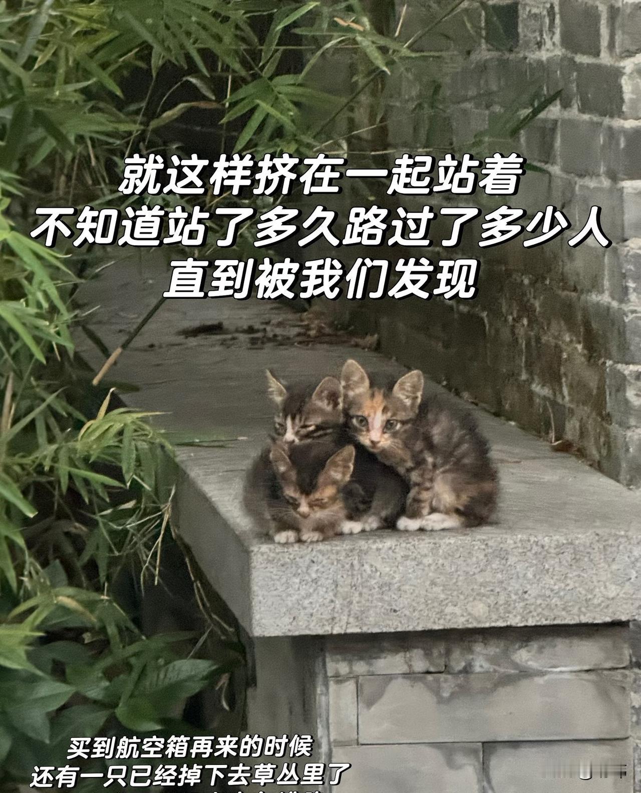 泪目了！这天一位小姐姐去散步，结果走到一个公园的时候，看到一间纪念馆的墙角的边缘