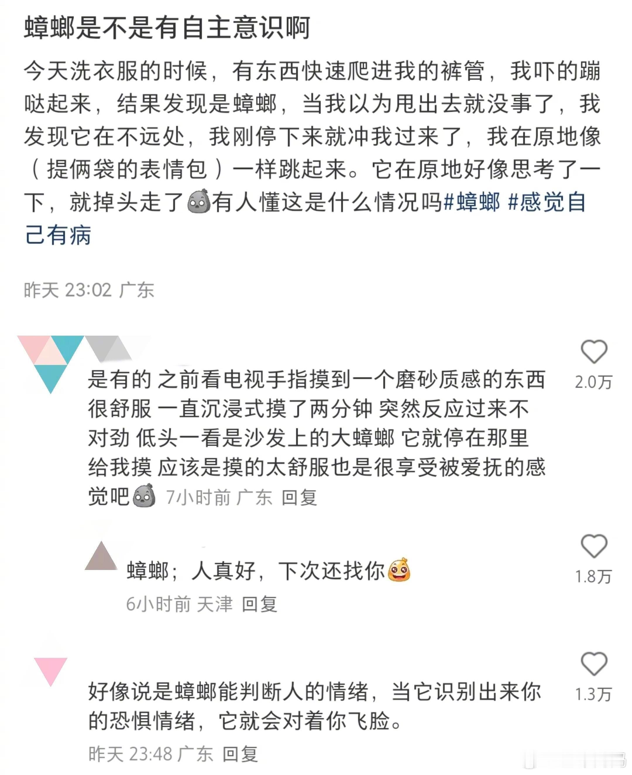 一直对广东这个ip很敬畏……蟑螂是不是能听懂人话啊？​​​