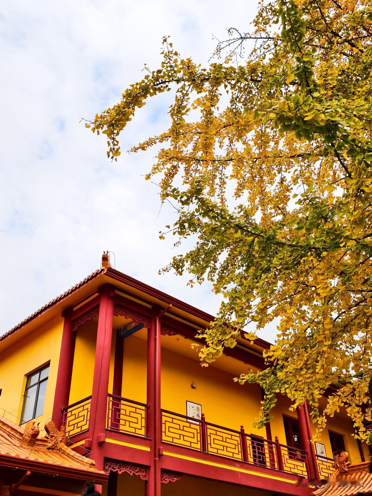 人喝酒之后到底可以闯出多大的祸？我爸在大年三十那天中午，和村里的朋友出去喝酒，下