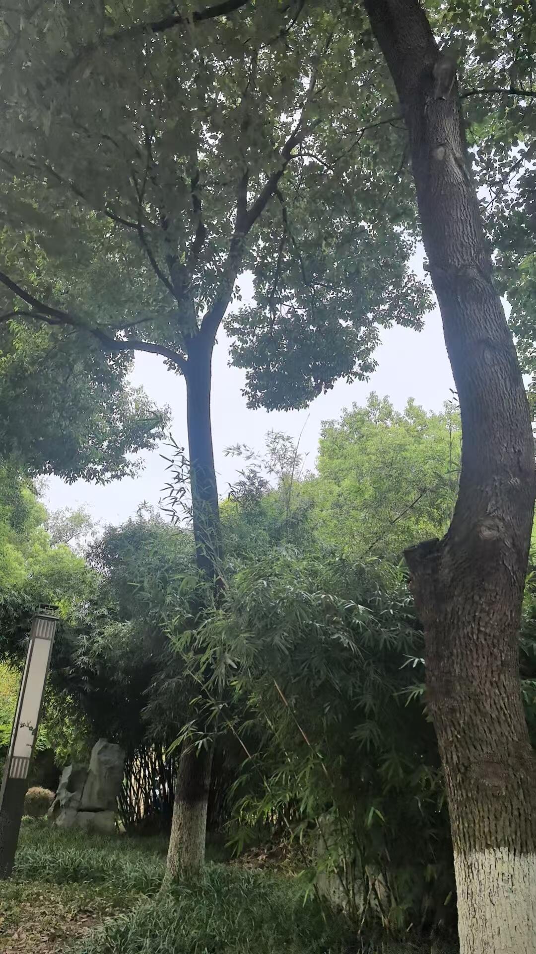 家人们，西安有个大姐，花16万接了个菜鸟驿站，一开始还挺高兴，后来差点没愁死！