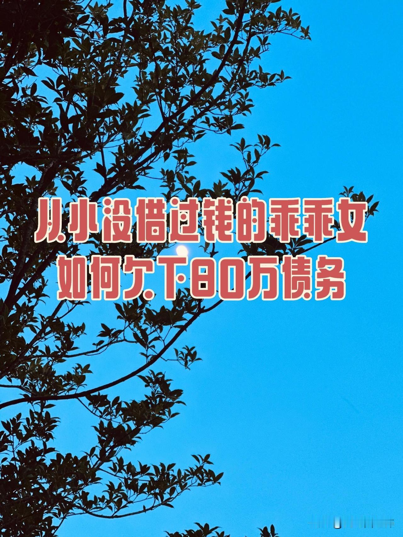 从小没借过钱的乖乖女如何欠下80万债务思绪似乎堆积了一个轮回，还是决定将这场人