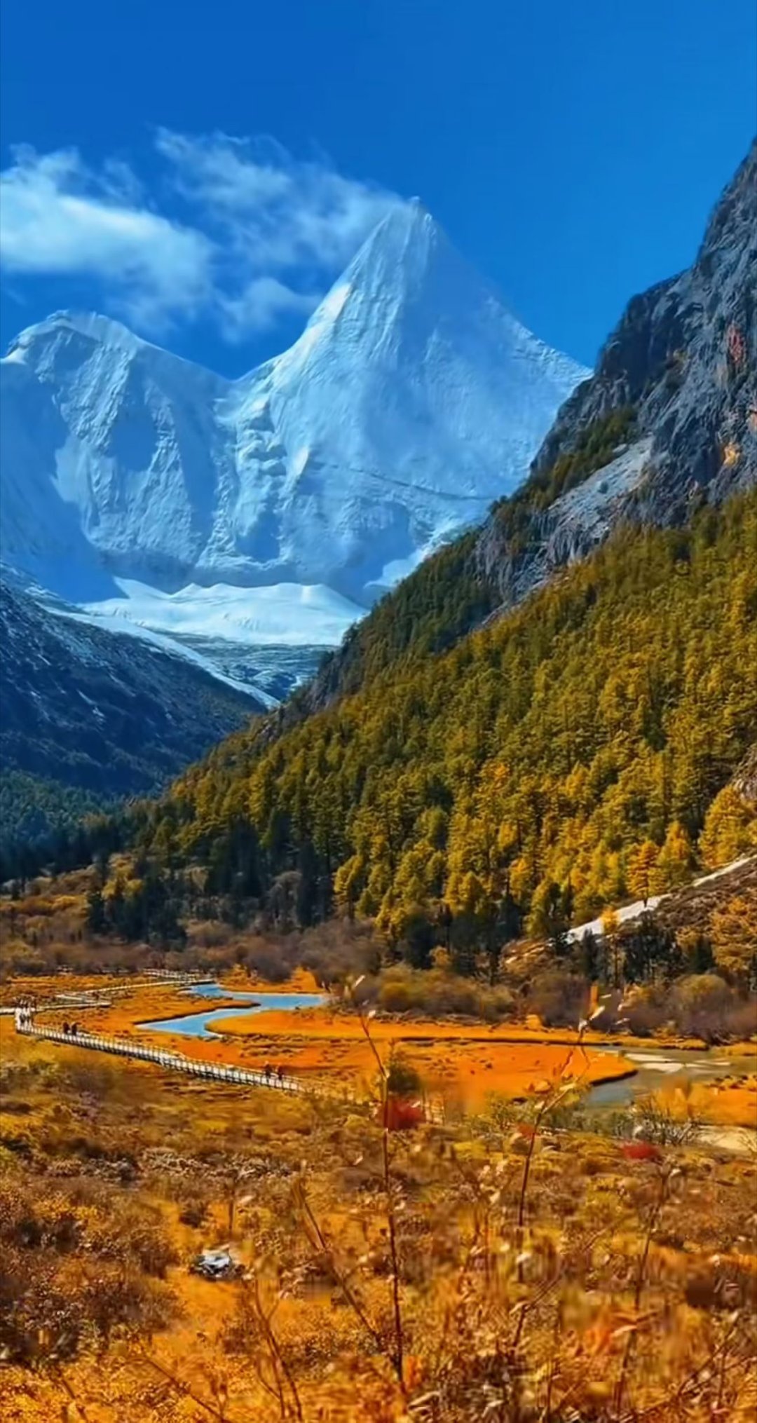 见过稻城亚丁的秋，从此千秋无绝色！独行路上见惊喜——风景要自己看，路还