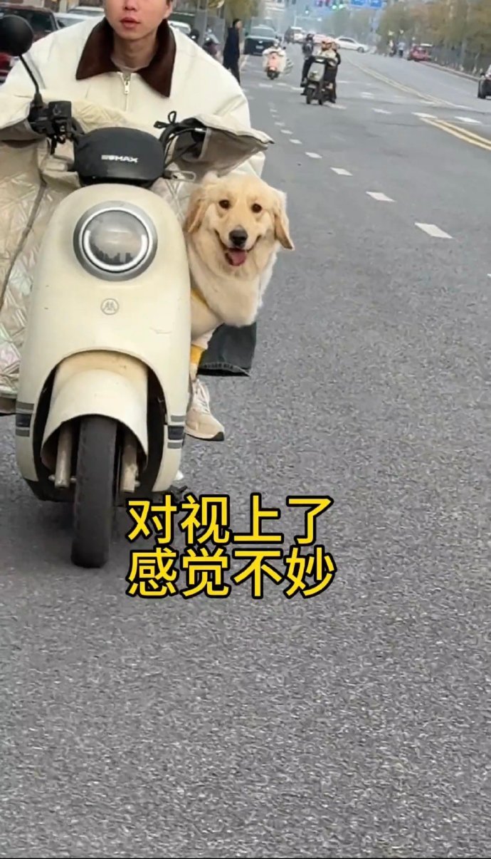 当对上眼的那一刻就知道要跳车了[笑着哭]​​​