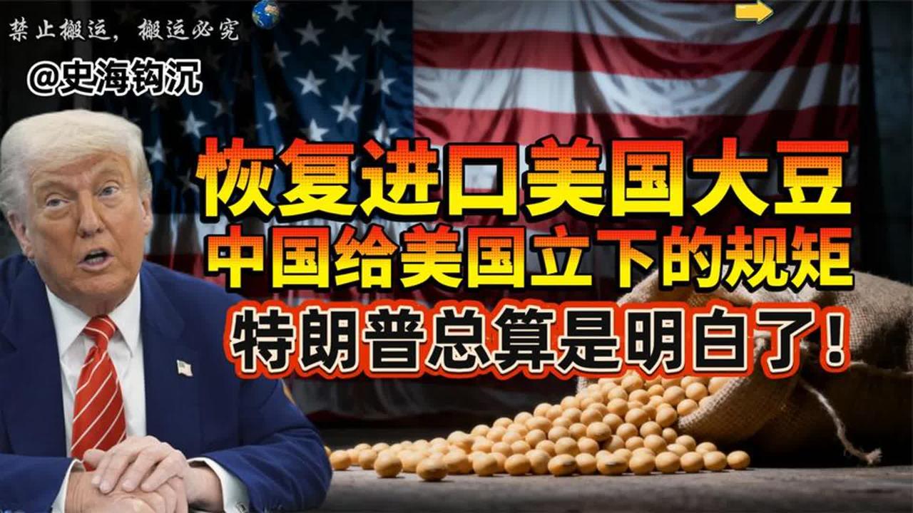 东大铁律震撼全场！大漂亮终于领悟规矩真谛