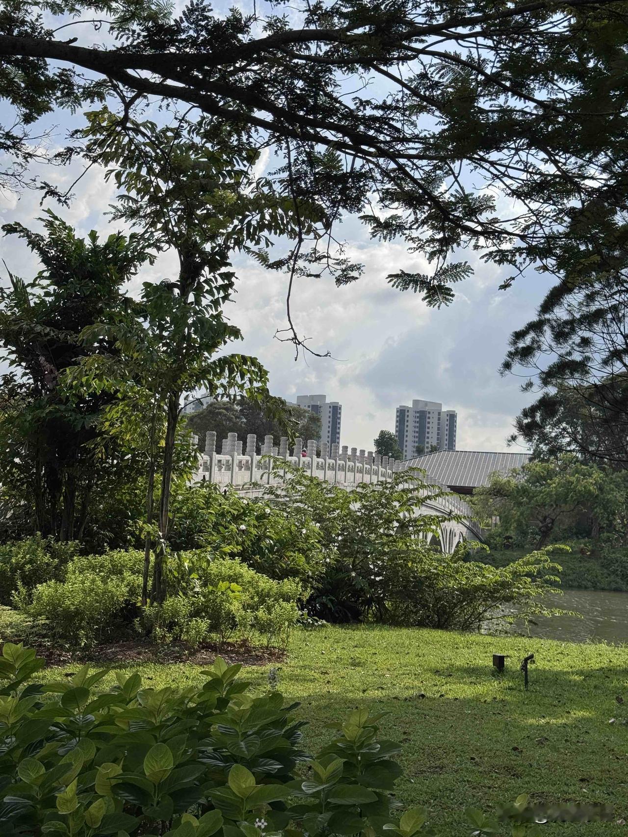 股市高手的节奏：慢攒股，巧做T你有没有发现，股市里的高手大多性格冷静、有耐心