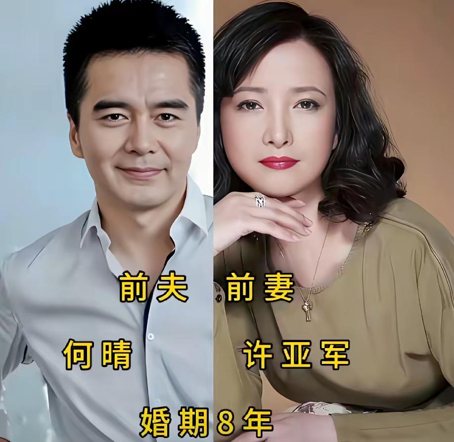 许亚军与何晴，她们两人在一起共同生活了八年，最后还是选择结束了这段不合时宜的婚姻
