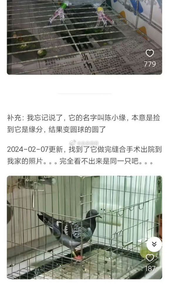 你做过什么对不起自家宠物的事情？