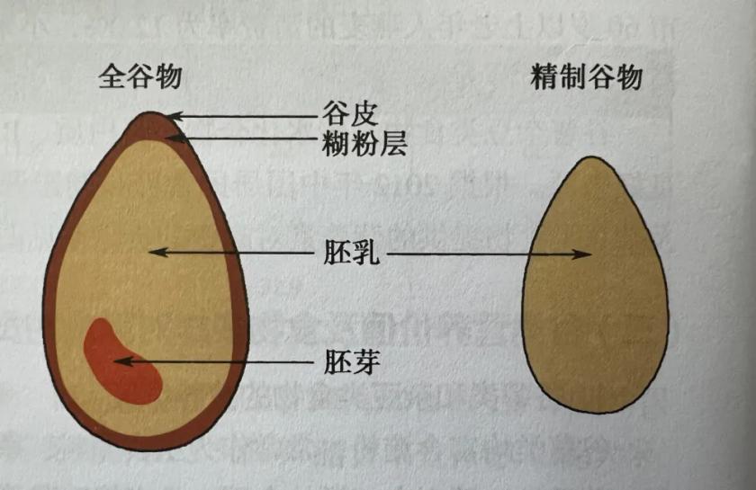 别不信！把1/3的主食换成它，我的体检单变了样！谁懂啊！以前每顿不吃点米面，